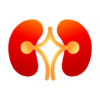 Stone MD — Kidney stones icon