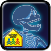 Napoleon Bone Apart icon