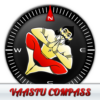 Vaastu Compass Simple Tips icon