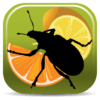 Citrus Pests Key icon