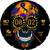 FW100 Digital Watch Face icon