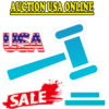 Auction USA Online icon