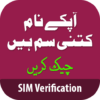 Sim Verification: SIM Info icon