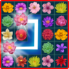 Onet Blossom Flower Link icon