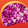 Cherry Blossom Live Wallpapers icon