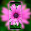 Flower Wallpapers 4k icon