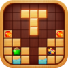 Block Crush: Wood Block Puzzle icon