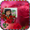 Beautiful Roses Photo Frames icon