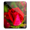 Roses Wallpaper icon