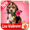 Cute Puppy Rose Live Wallpaper Puppy Dog LWP 2019 icon