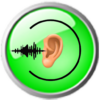 Tinnitus Describer icon