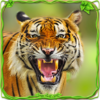 Furious Tiger Simulator icon