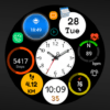 FS W263 Hybrid Watch face icon