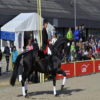 Dressage World News FEI , DWC , GDF icon