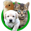 baby animal sounds icon