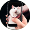 Rat On Screen Hand Simulator icon