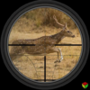 Deer Hunting Sniper Shooter icon