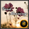 Good Morning Flowers icon