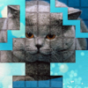 PicPu Cat Picture Puzzle icon