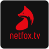 Netfox.tv Search Netflix icon