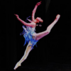 Ballet Live Wallpaper icon