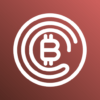 CoinWallet: BTC USDT Wallet icon