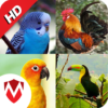 100 birds sounds icon