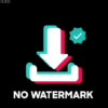 TikTok Video er No Watermark Tricks icon