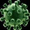 Corona Virus Info icon