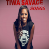 Tiwa Salvage icon