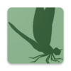 Insect Identifier icon