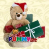 Pummy Gift Shop icon