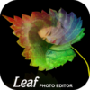 Leaf Photo Frame icon