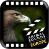 Best European Animals Sounds icon