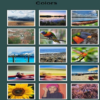 Colors Photo Gallery icon