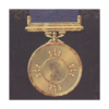 Param Vir Chakra icon