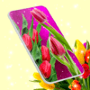 Tulips Spring Live Wallpaper icon