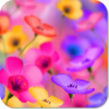 Flower Beauty HD Wallpapers icon