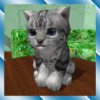 Cute Pocket Cat 3D Part 2 icon