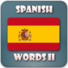 Spanish grammar practice icon