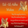 Eid al Adha Mubarak: Bakra Eid Greeting,Frames,GIF icon