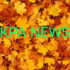 Kpa news icon