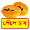 পেঁপে চাষ ~ Papaya Cultivation icon