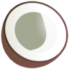 Coco Loco icon