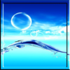 Water Bubble live wallpaper icon