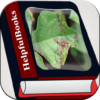 Plant disease icon