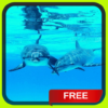 Dolphins Live Wallpaper LWP icon