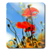 Summer 3D Poppies HD LWP icon