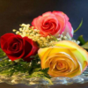 Beautiful Flowers Roses Gif icon