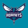 Charlotte Hornets icon